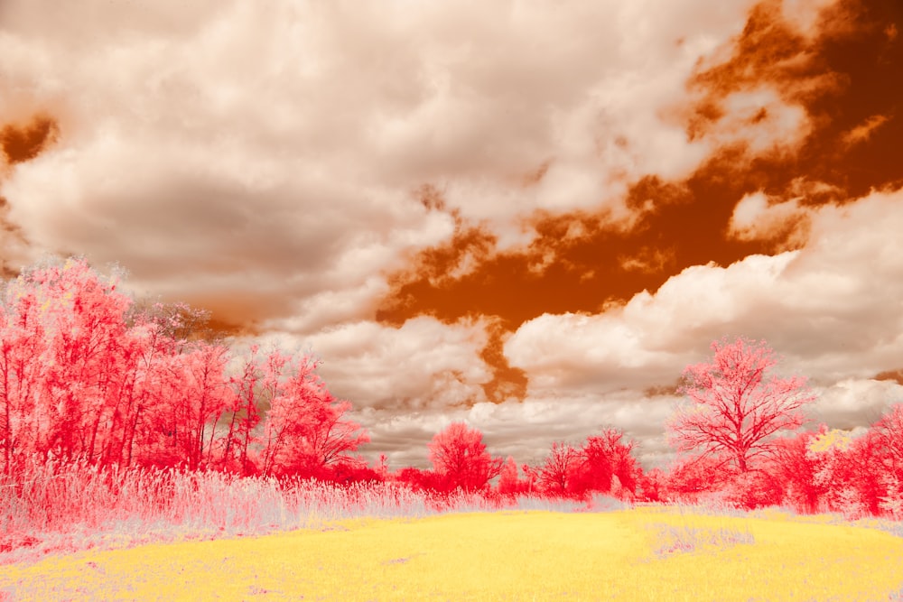 a field with trees and clouds in the background