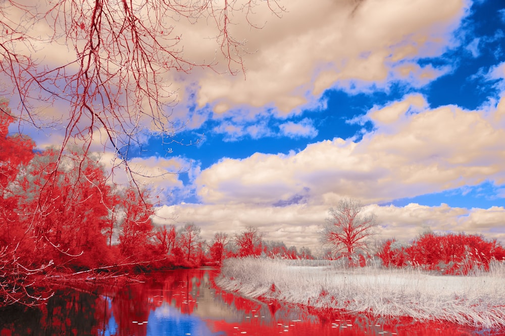 a river surrounded by red trees under a cloudy blue sky