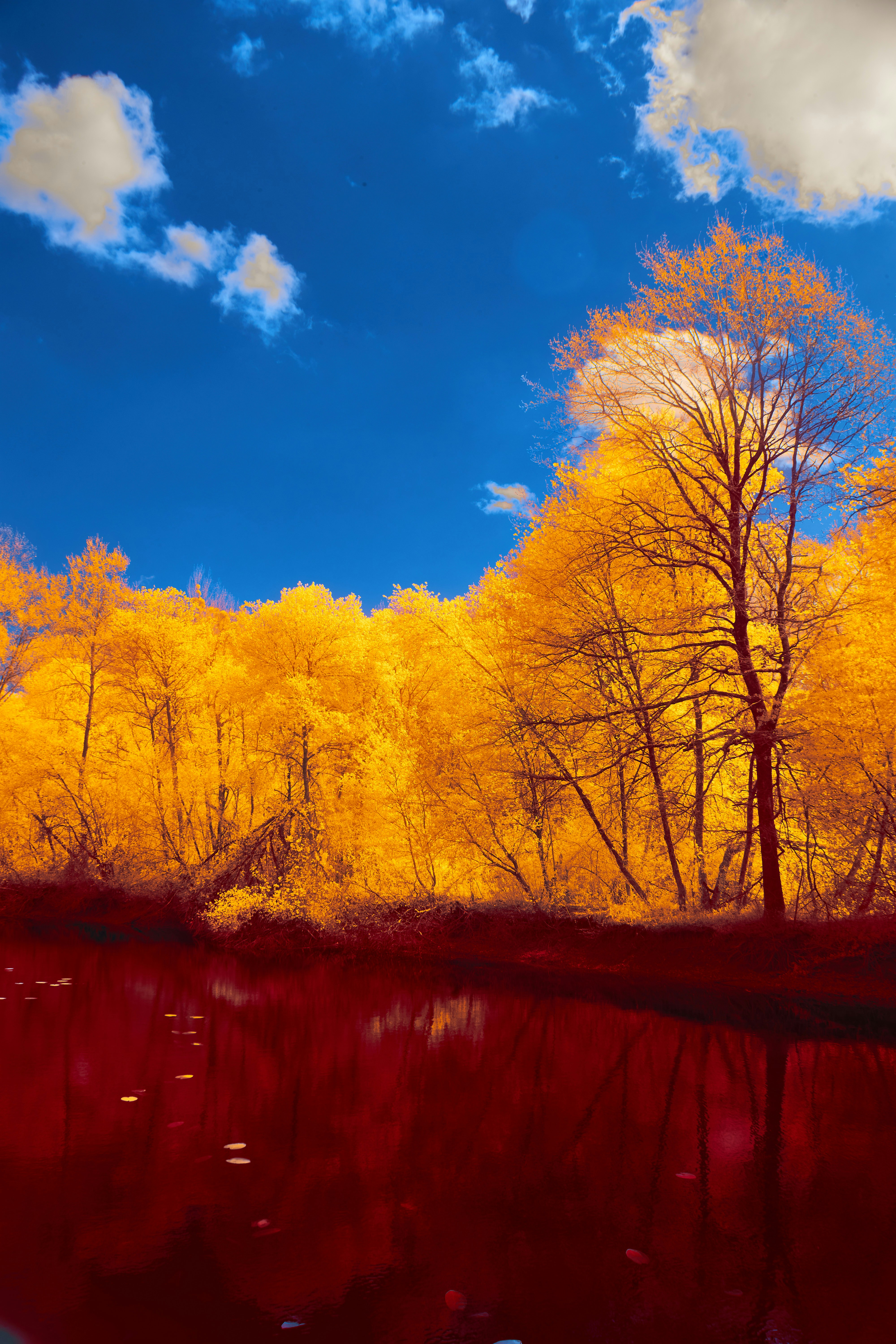 Photo by wolfgang_hasselmann