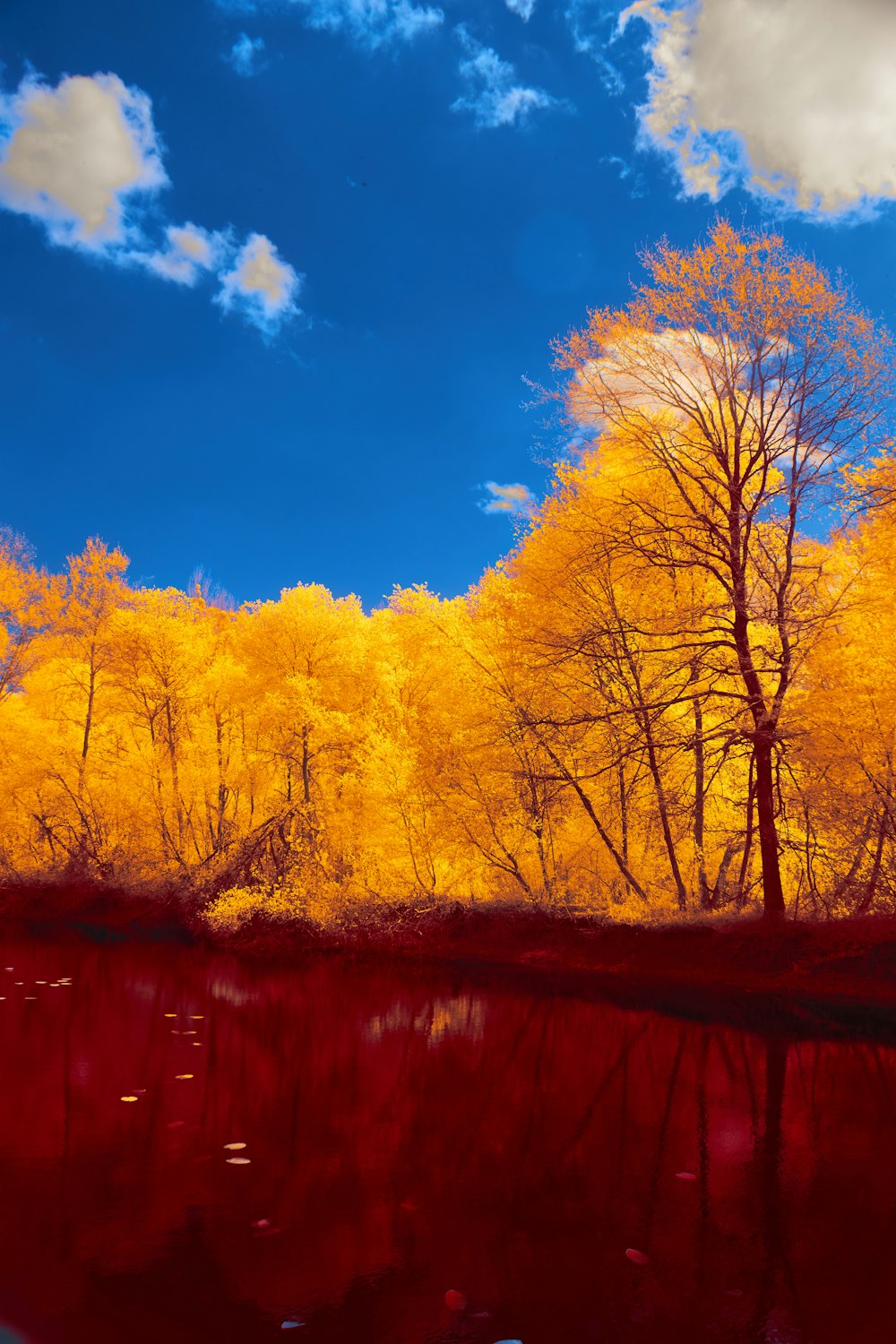 a red pond with trees and clouds in the background