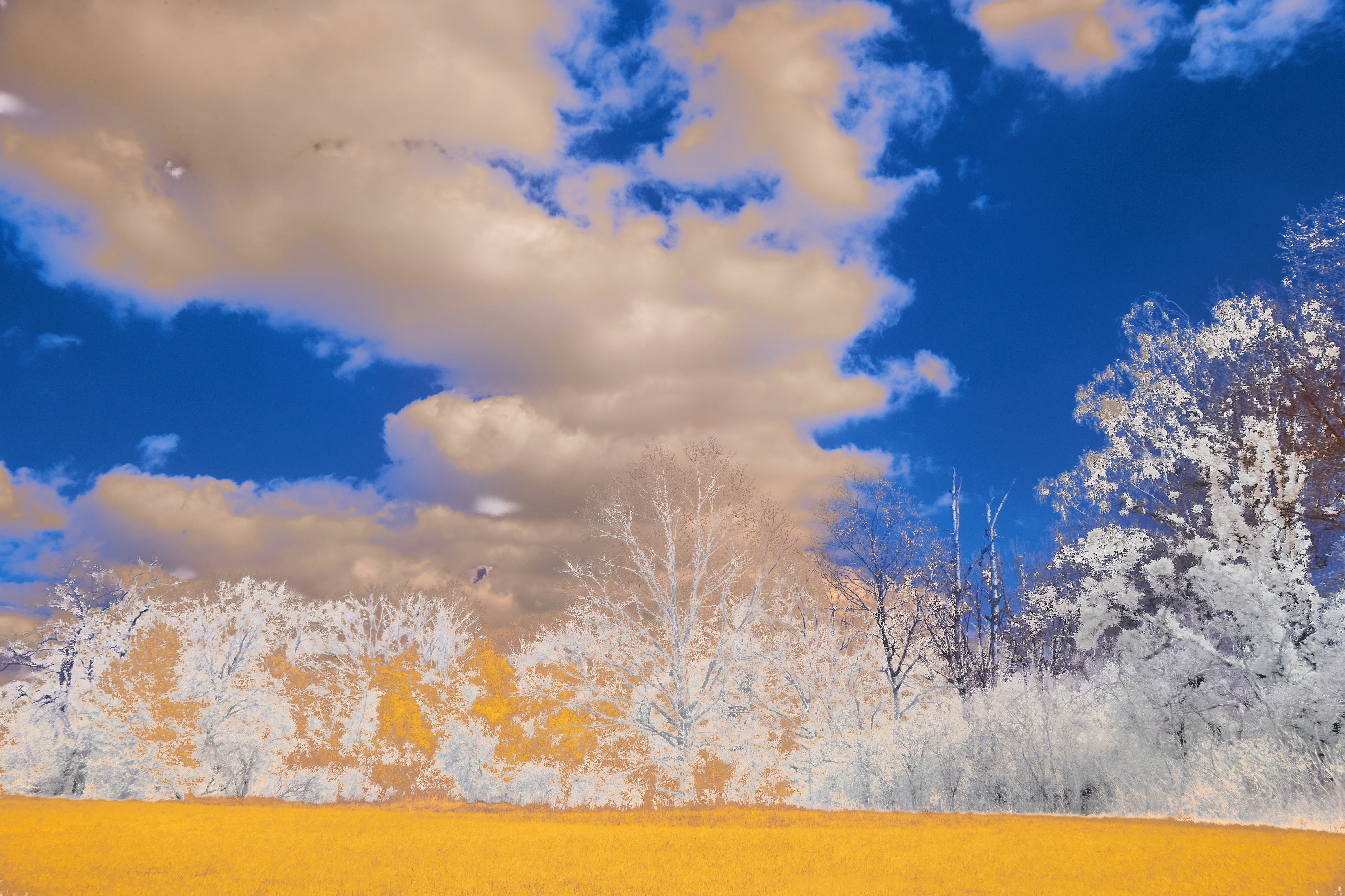 Photo by wolfgang_hasselmann