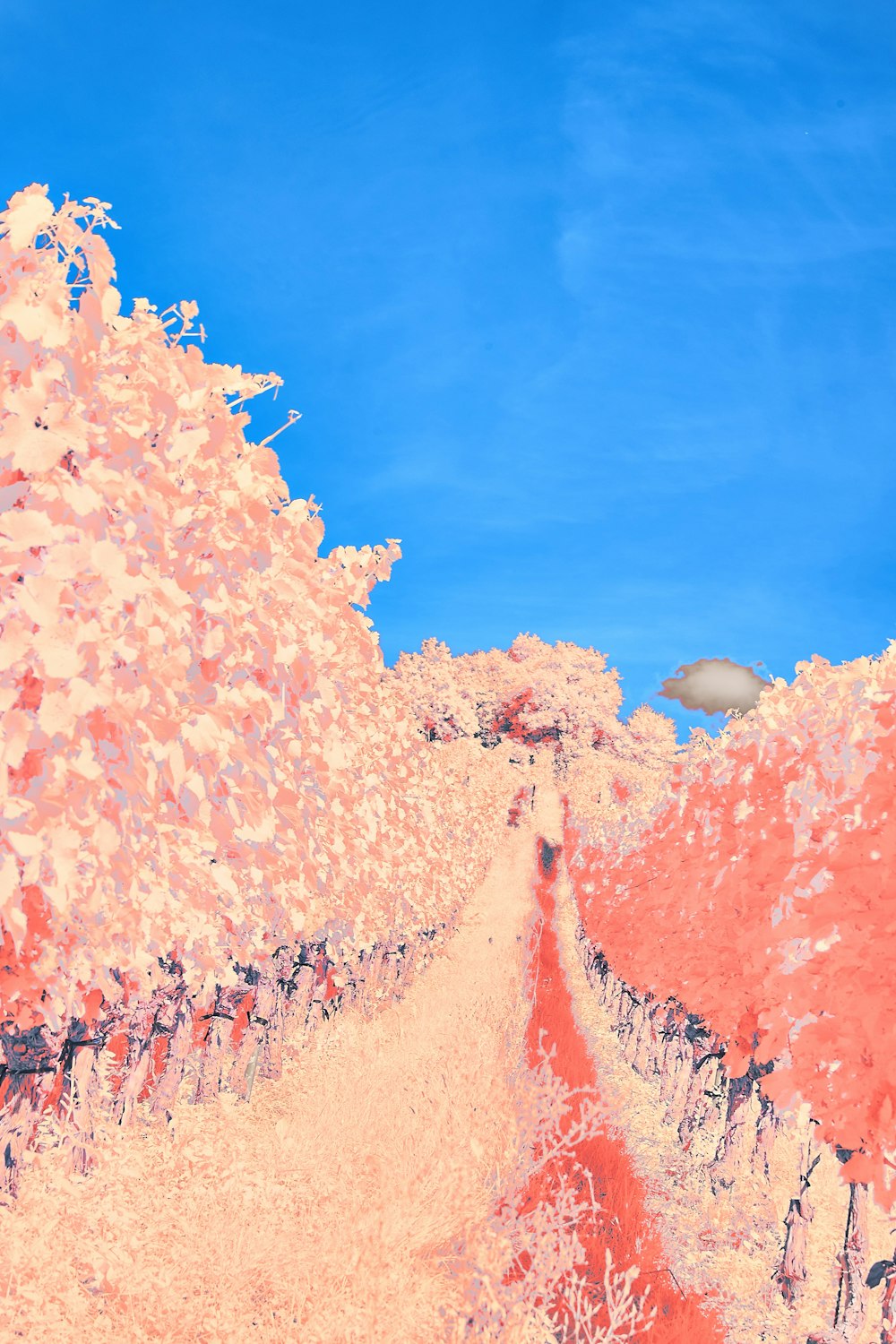 a painting of a dirt road surrounded by trees