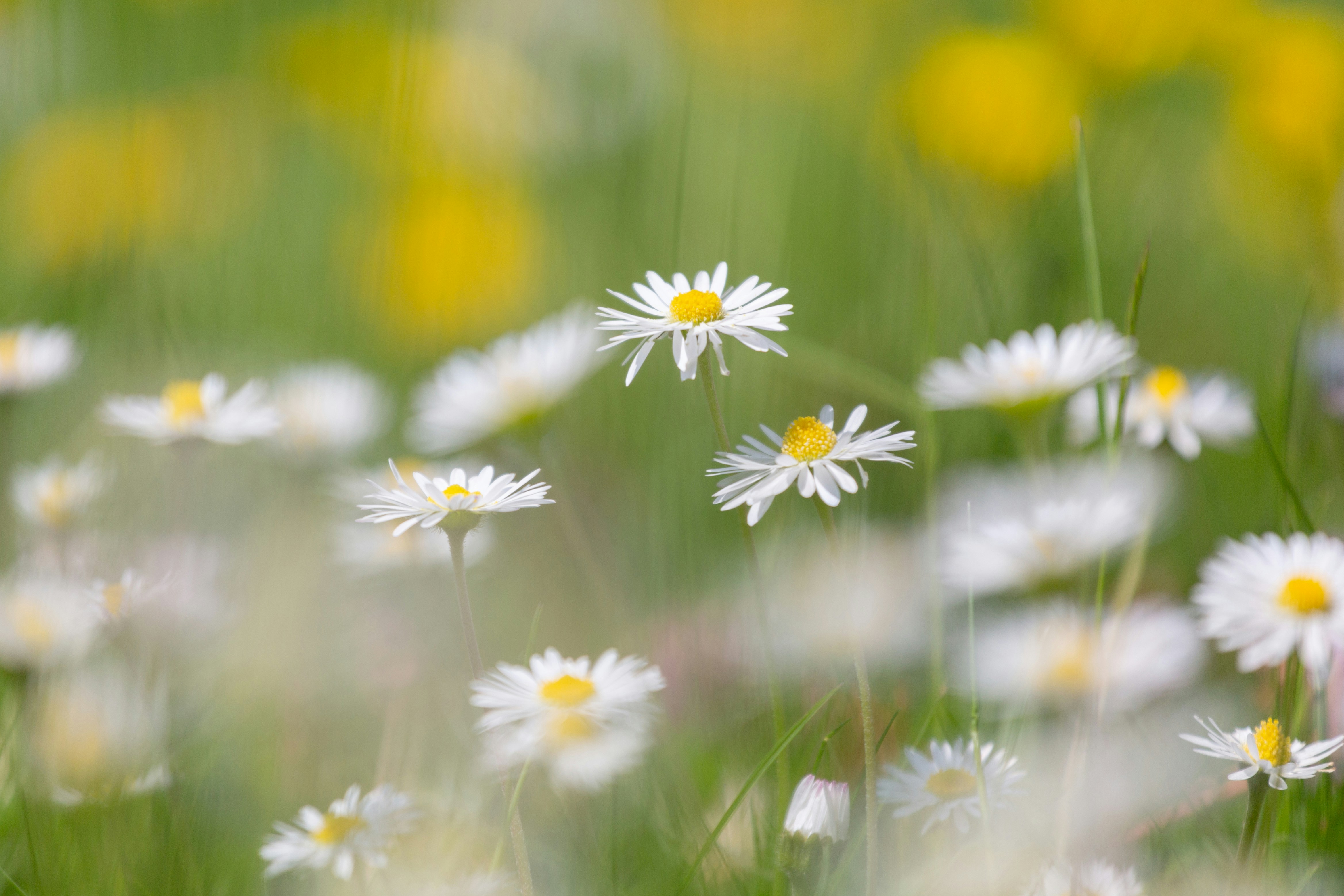 Photo by nataliekinnear