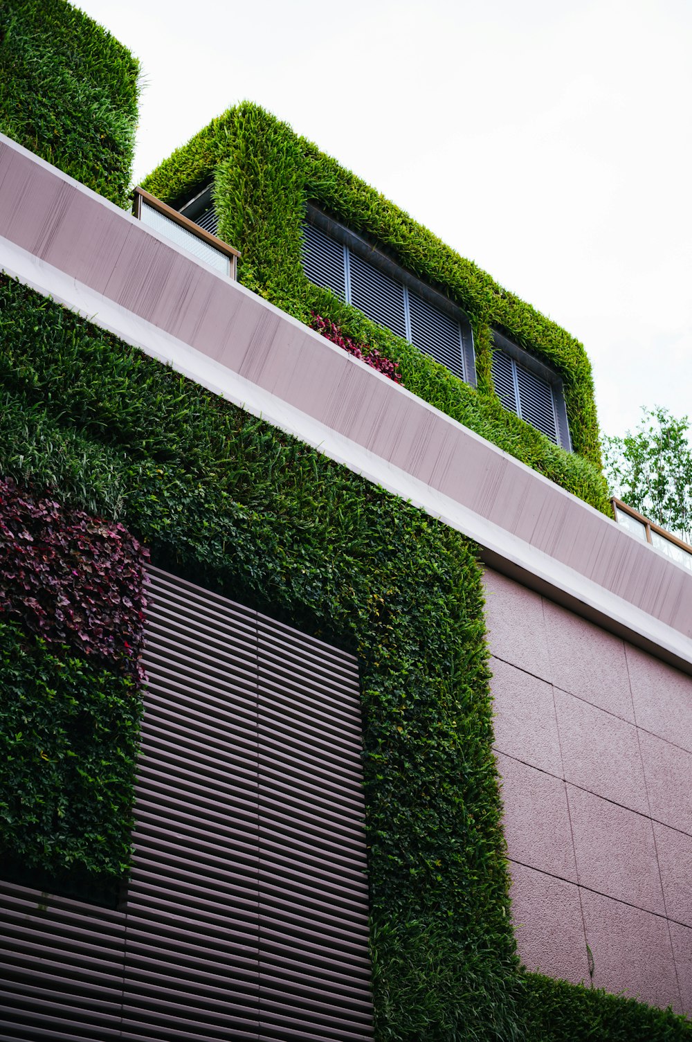 a building covered in green plants next to a street