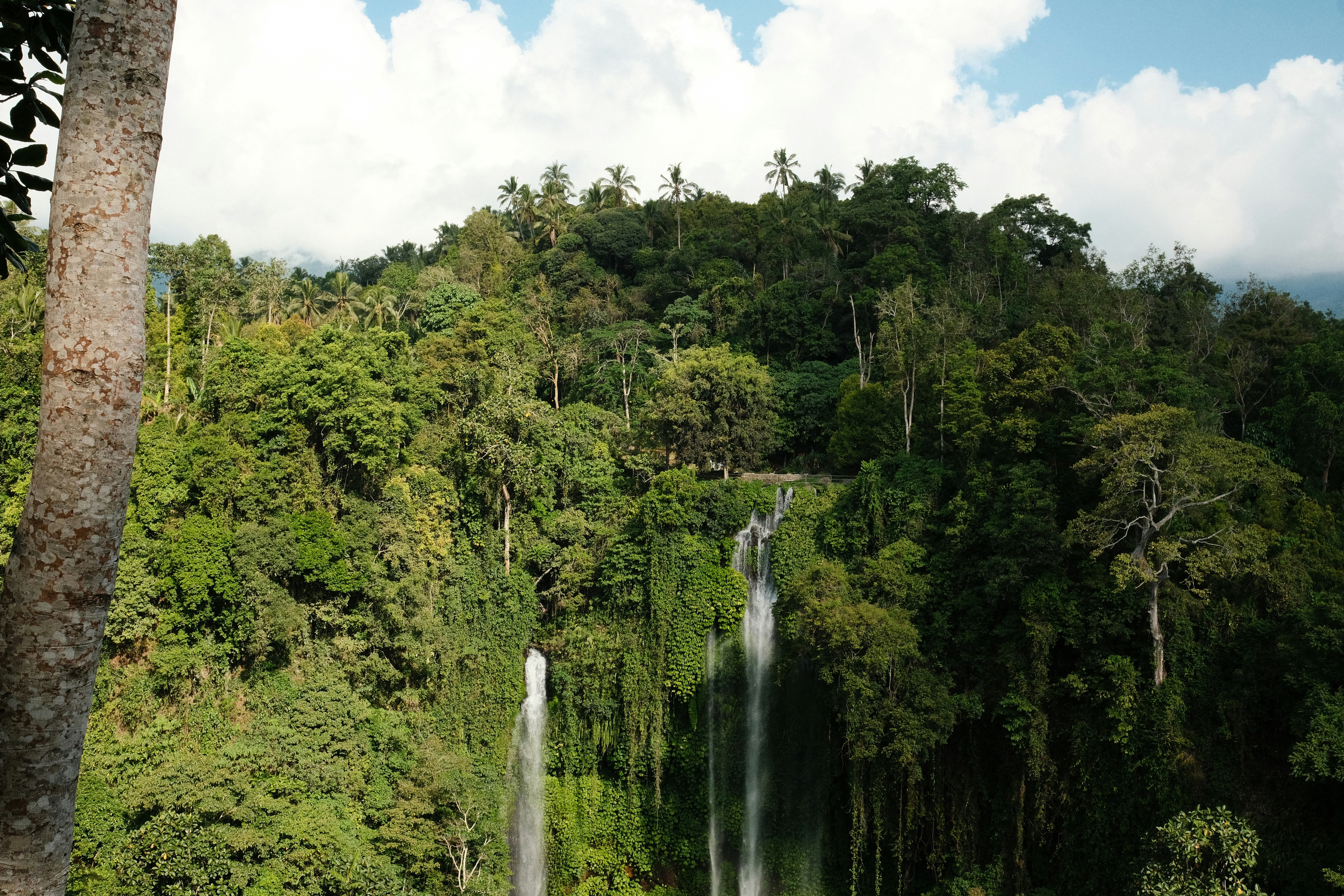 Photo by wayansperspective