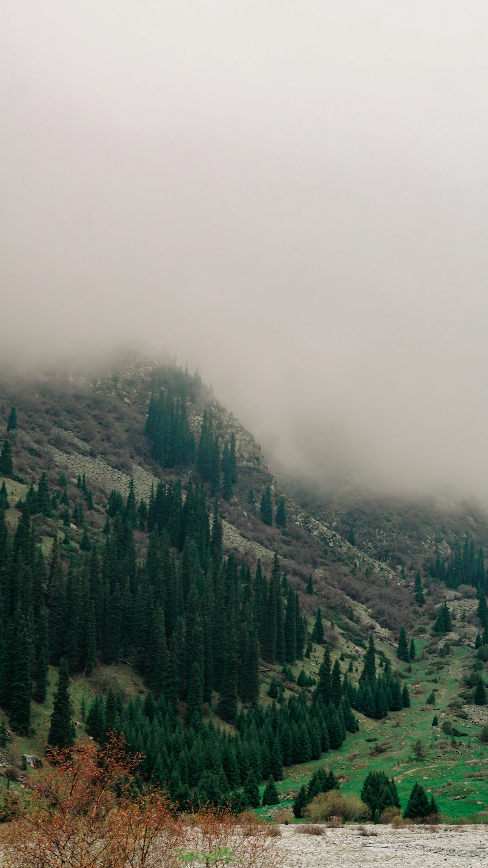 Ala Archa mountain landscape near Bishkek Kyrgyzstan