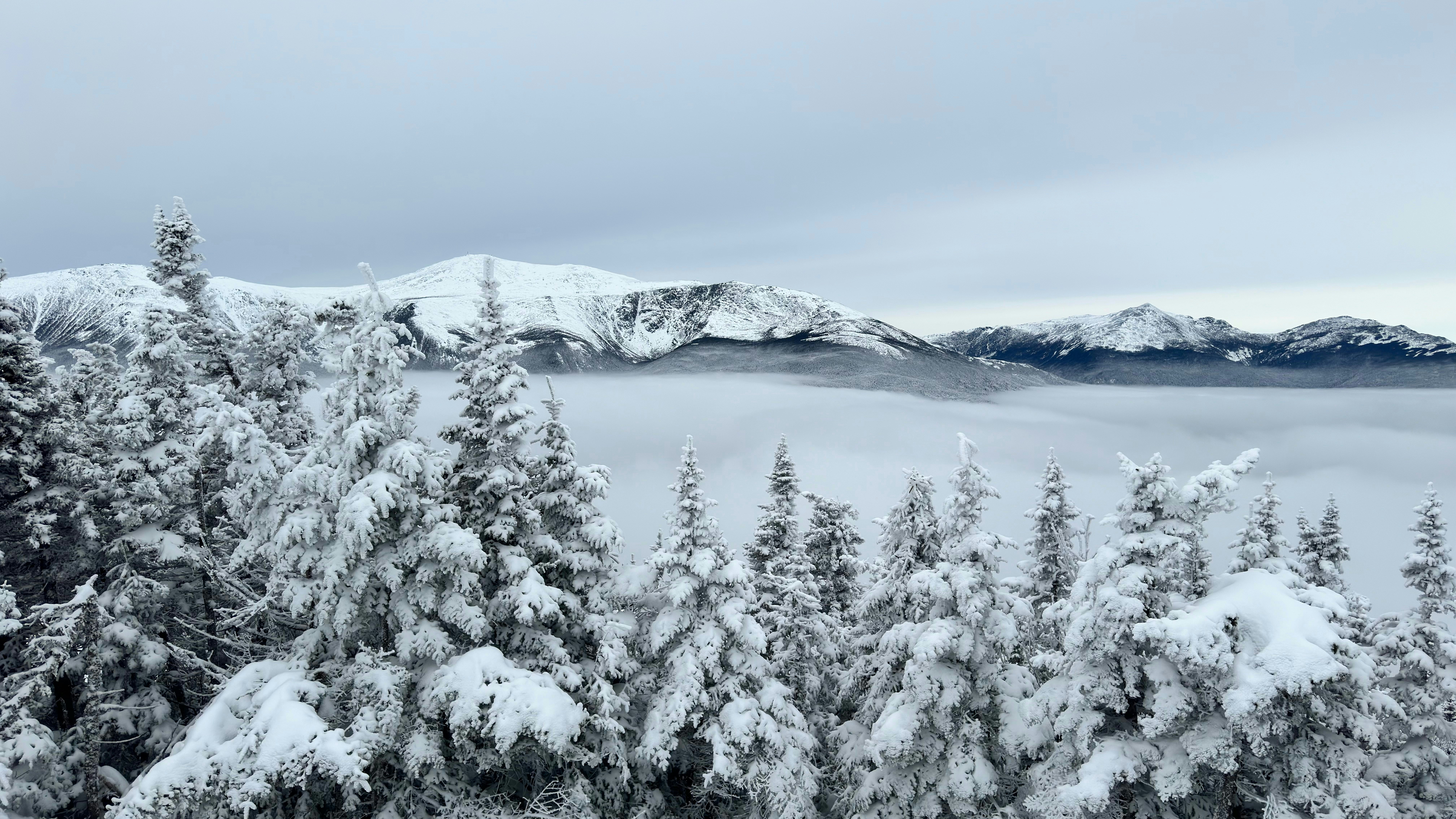 Photo by cbrown80085