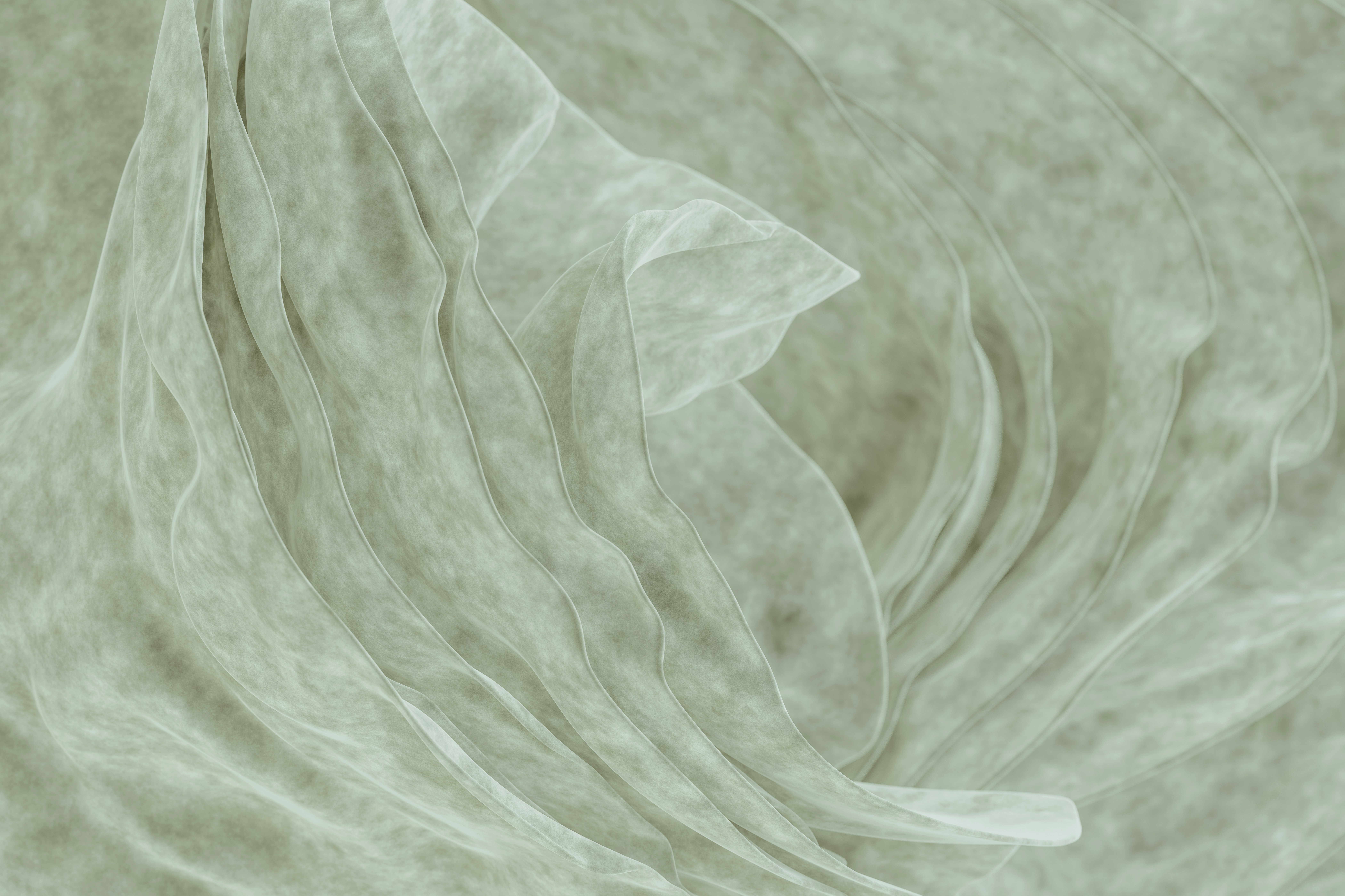 Photo by pawel_czerwinski