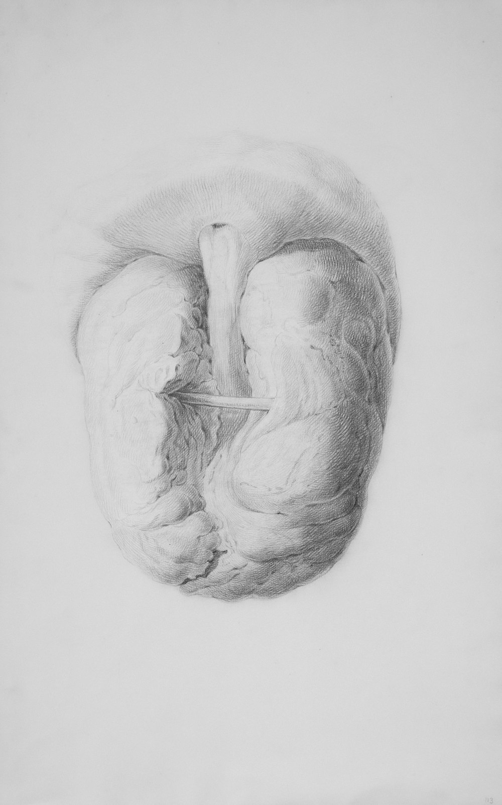 a drawing of a baby in a crib