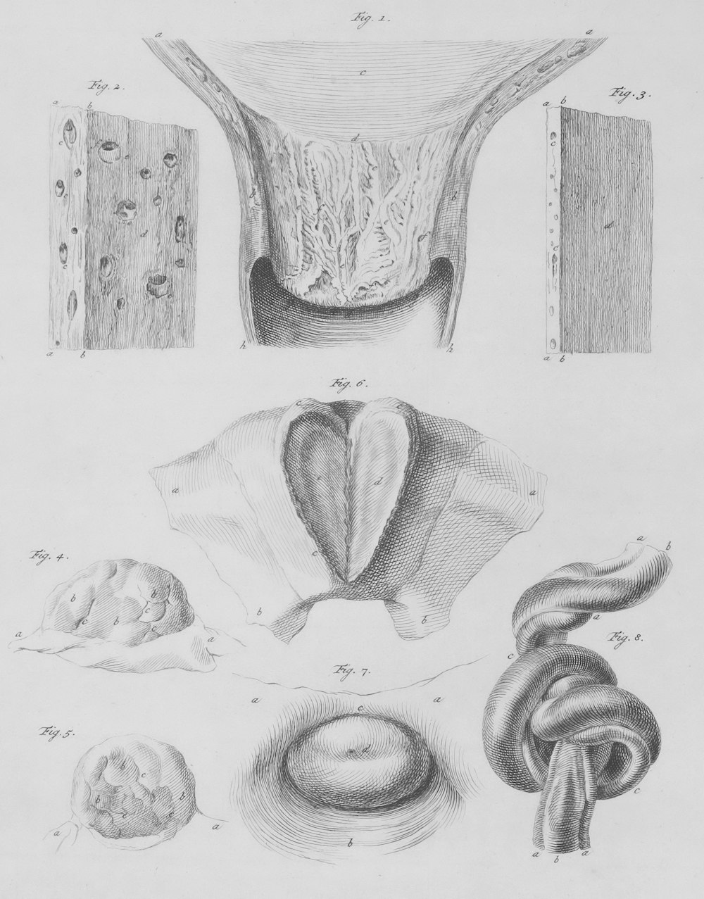 a drawing of different types of utensils