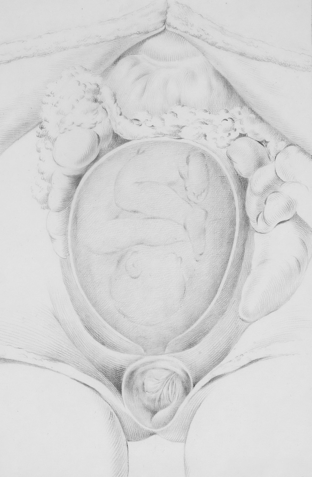 a drawing of a woman's breast with a baby in the center