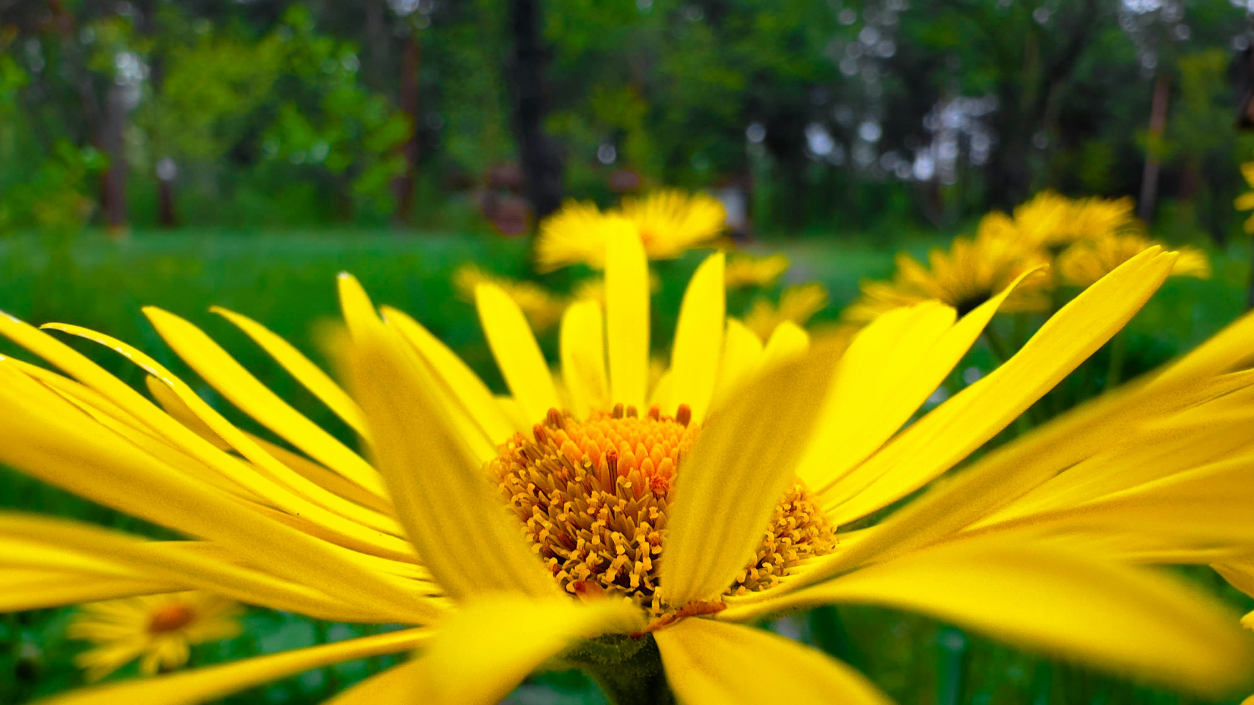 Photo by archange1michael