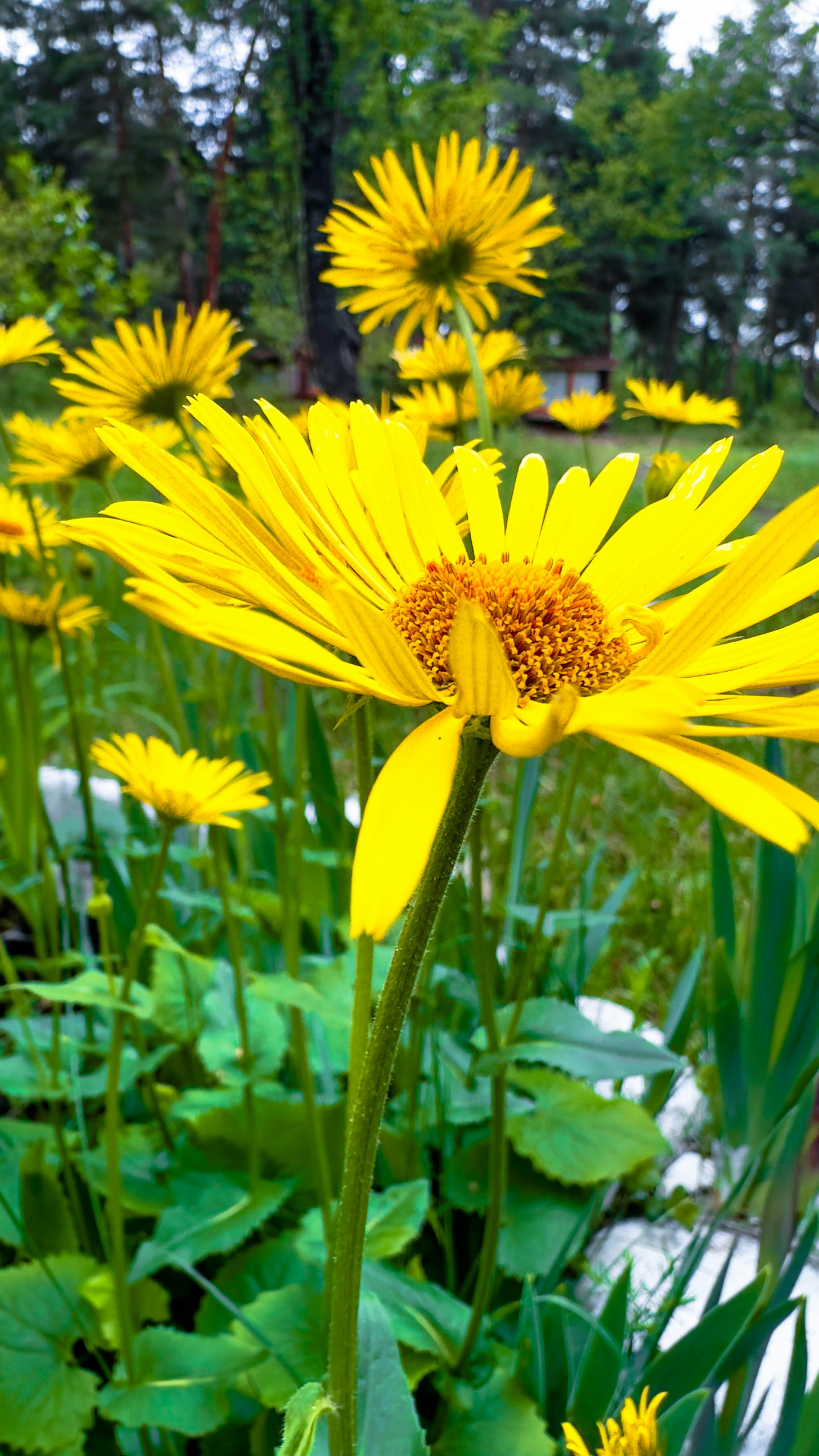 Photo by archange1michael