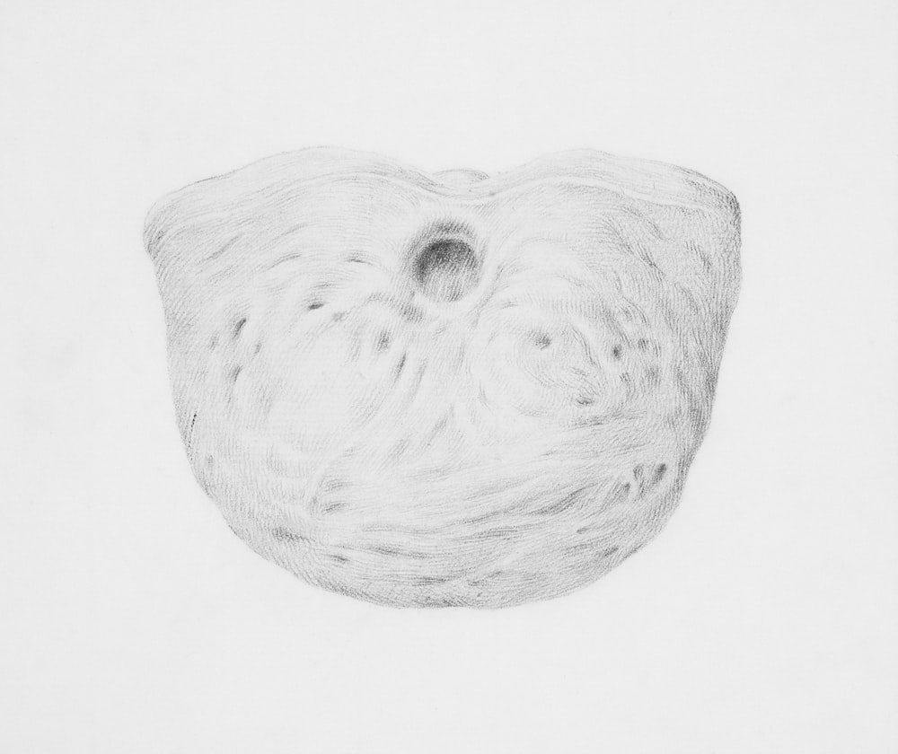 a black and white drawing of a ball of yarn