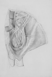 a drawing of a woman's breast