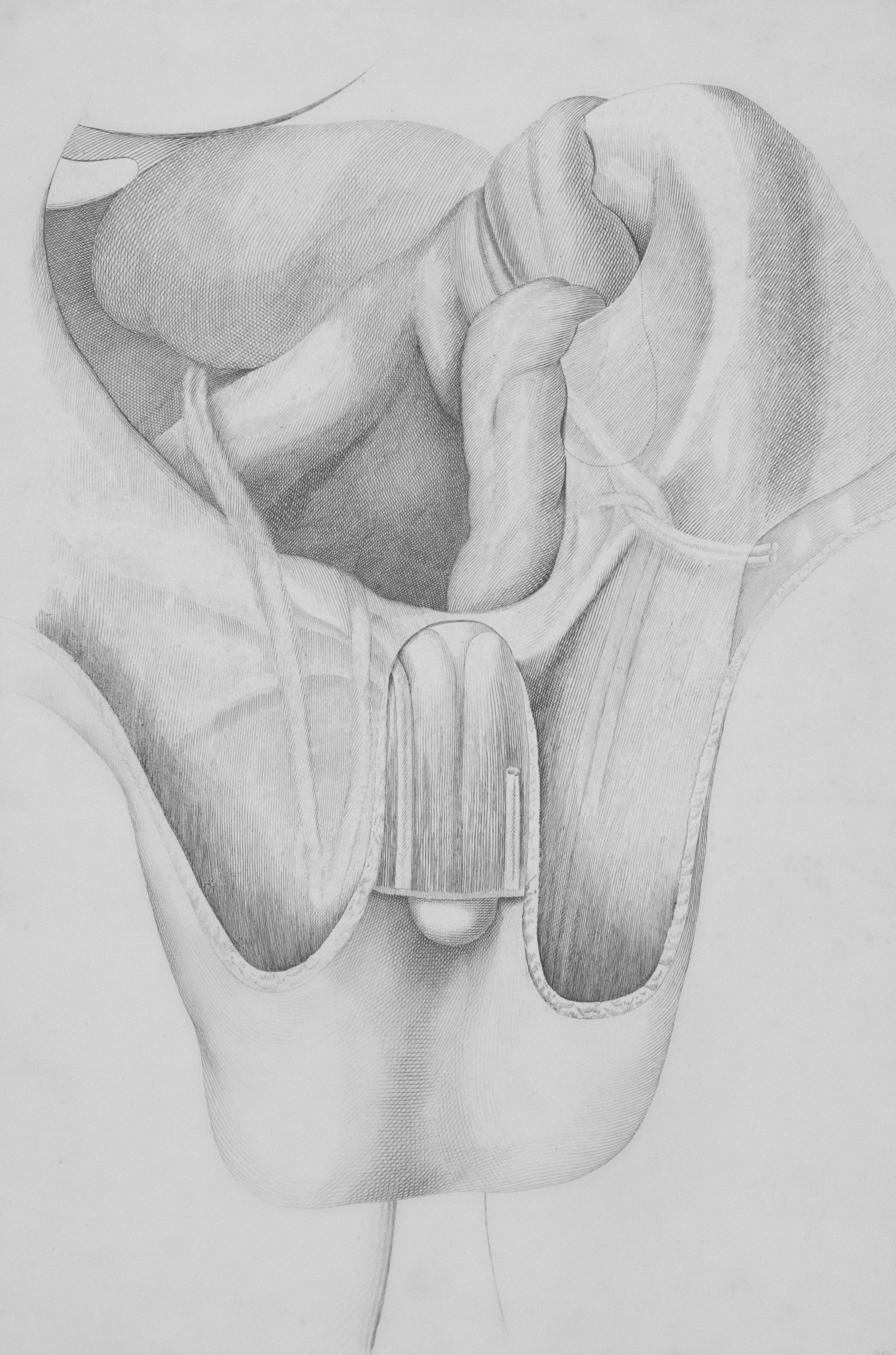 photo-1715526411331-4947f75eb25f?ixid=M3wxMjA3fDB8MXxzZWFyY2h8MTl8fHBhaW4lMjBwYXRjaCUyMGZvciUyMGtuZWVzfGVufDB8fHx8MTc1Njg2NDkwMnww\u0026ixlib=rb-4.1.0