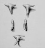 Firma Handlowo-Usługowa INSTAL-SERWIS Świętoń Piotr logo