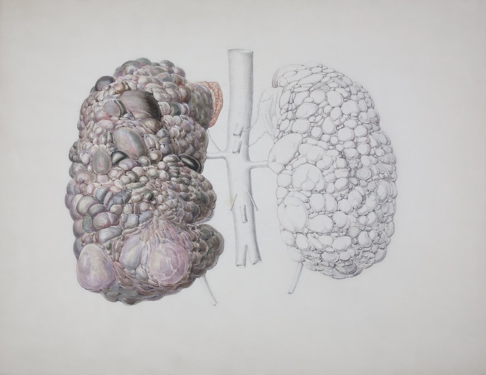 a drawing of a human and a brain