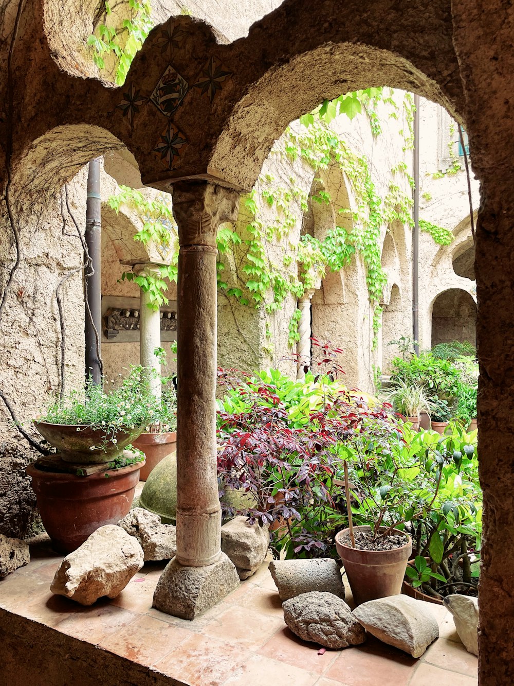 a view of a garden through an archway