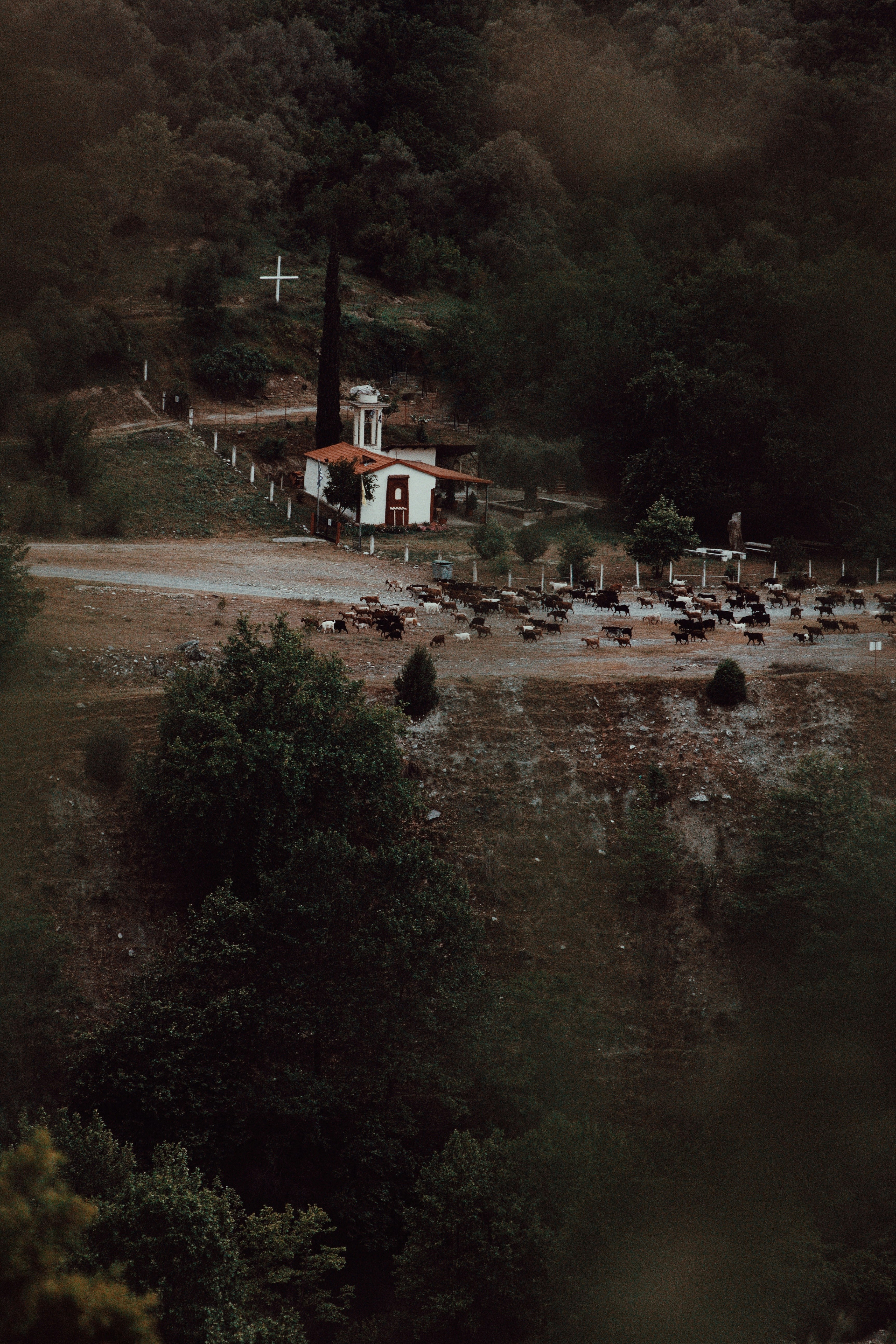 a small church in the middle of a forest