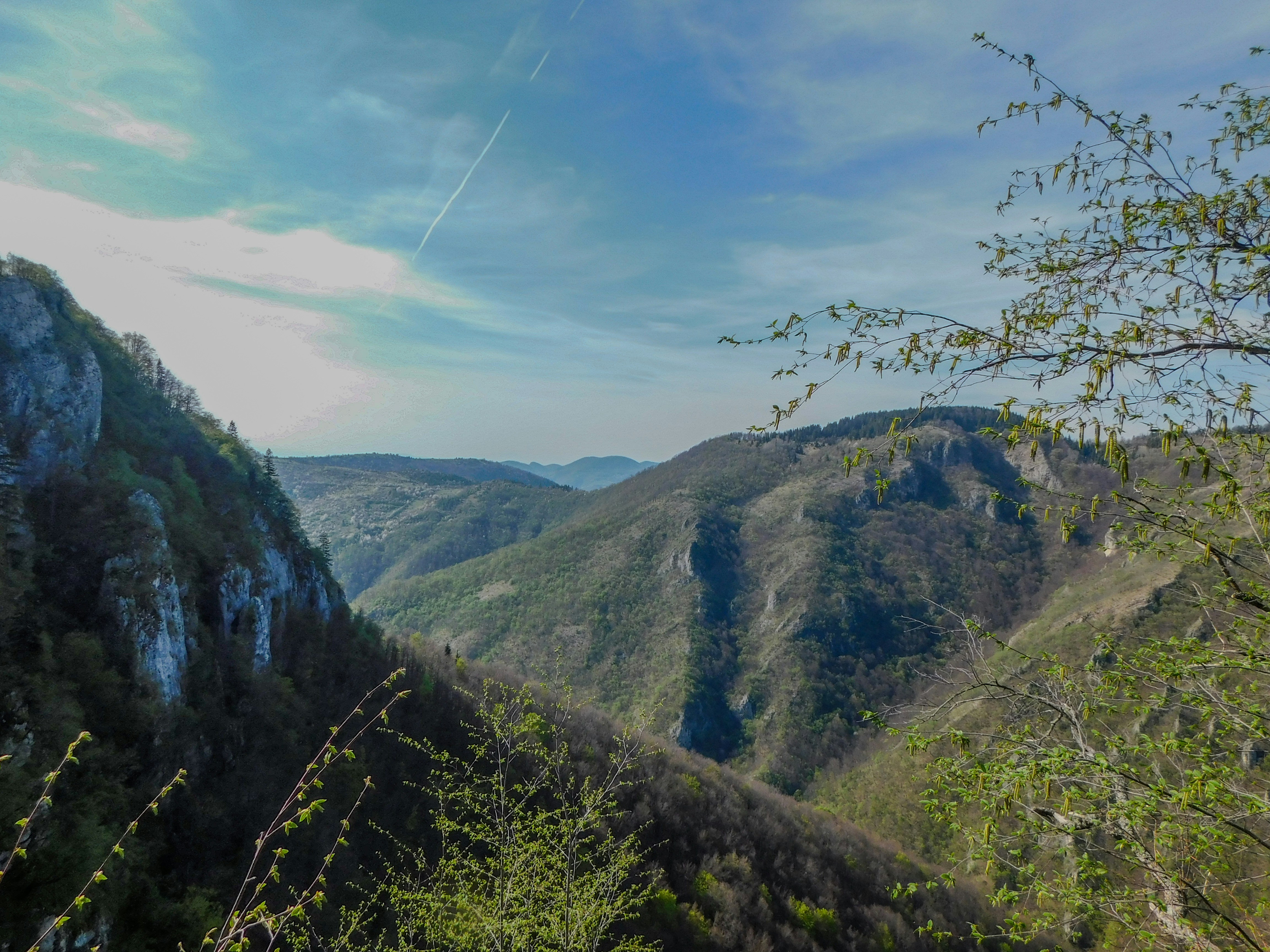 a view of a valley with mountains in the background
