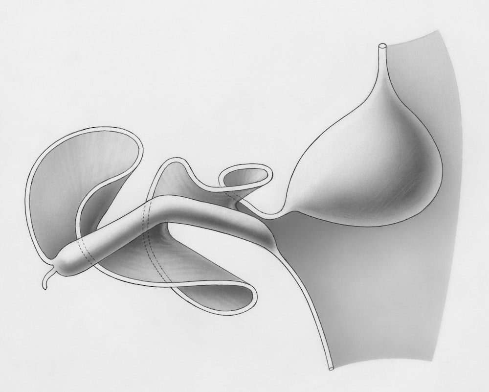 a black and white drawing of a breast