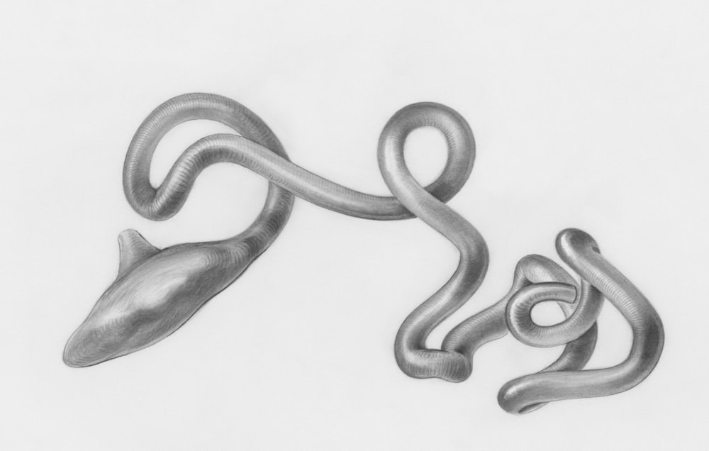 a drawing of two metal objects on a white background