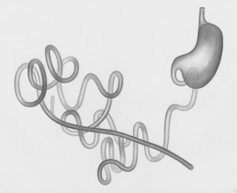 a pencil drawing of the word love