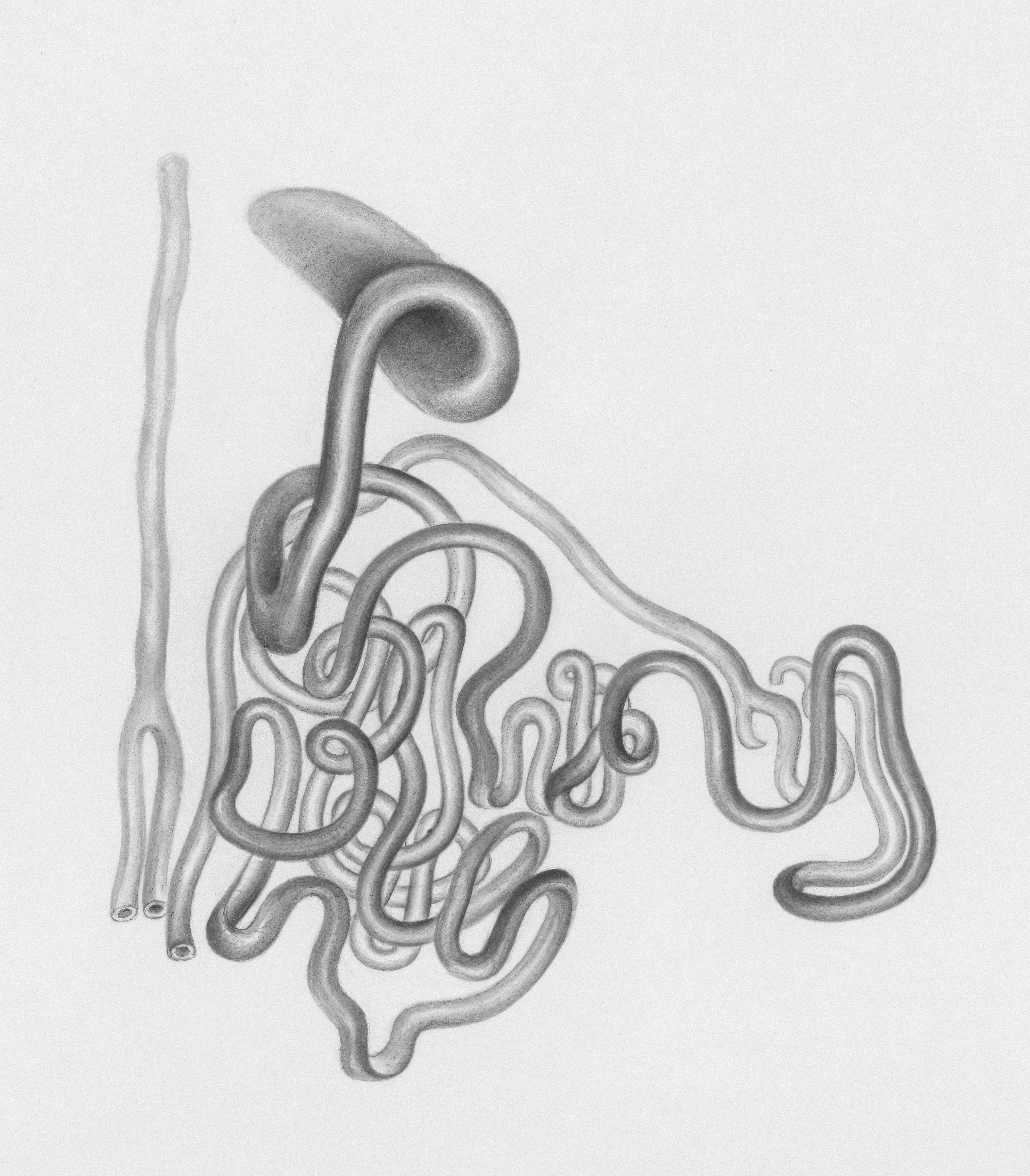 a pencil drawing of a piece of food