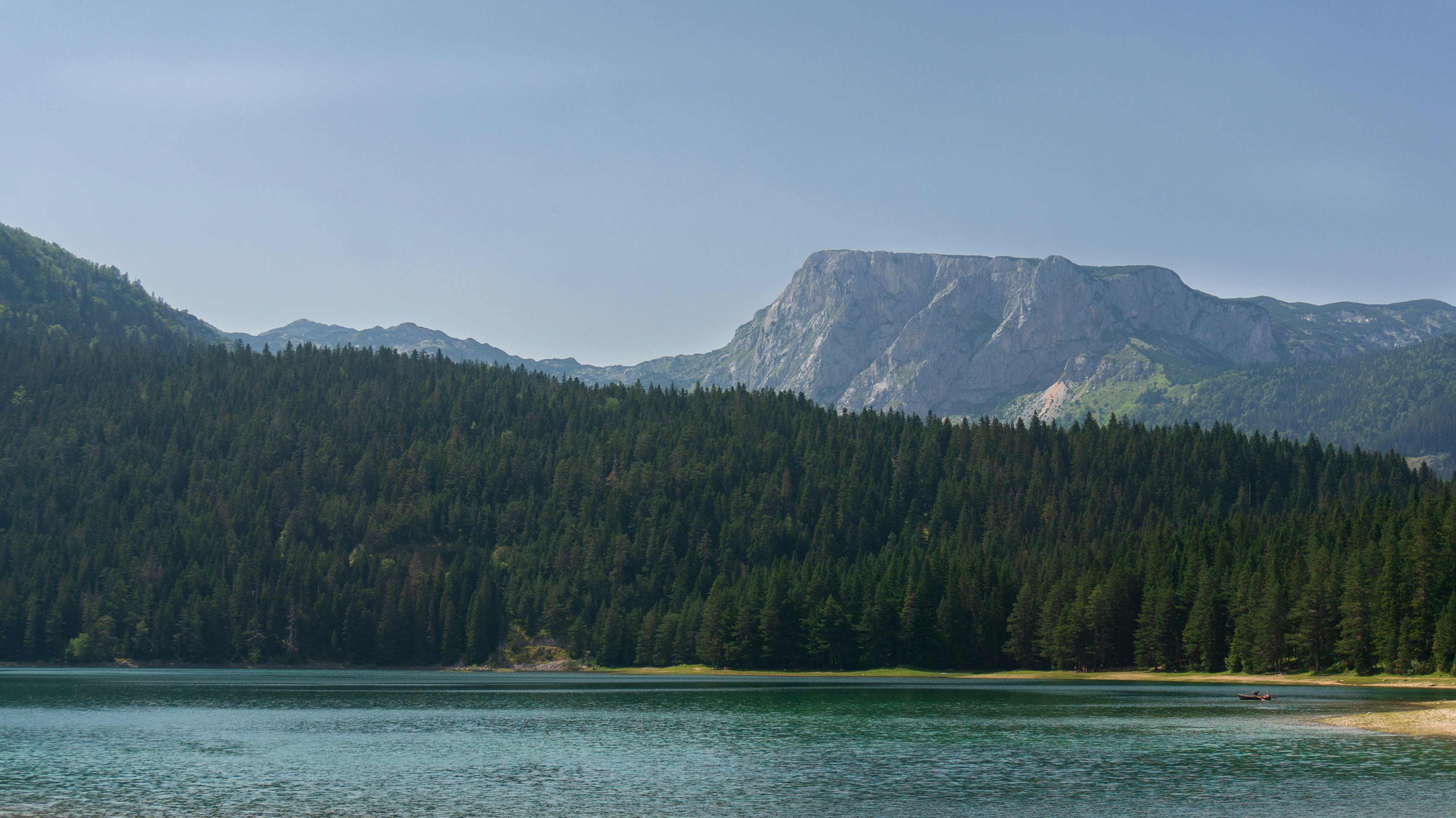 a large body of water surrounded by a forest, 