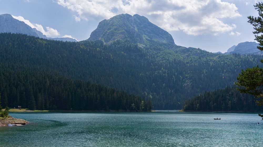 a body of water surrounded by mountains and trees