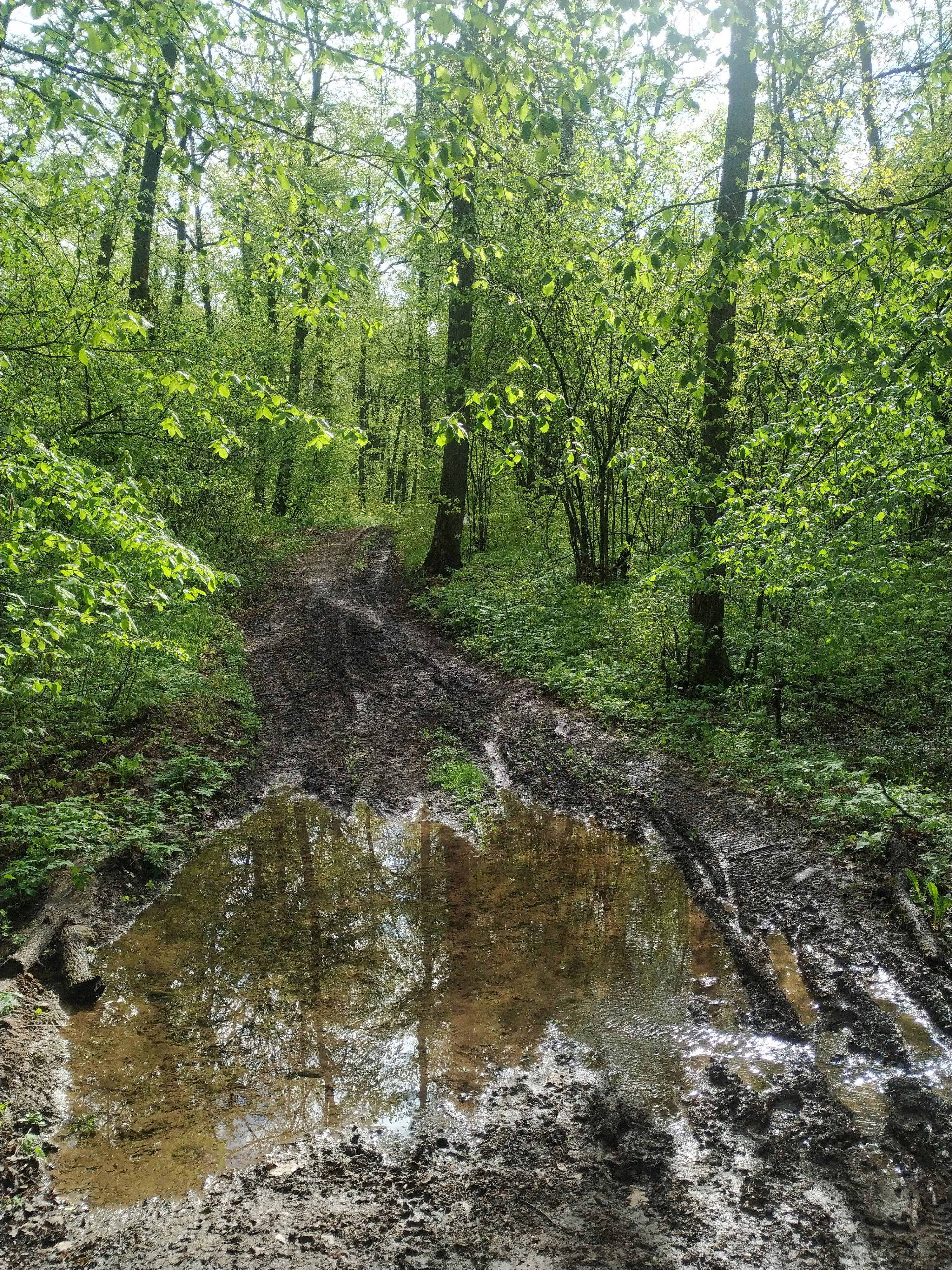 Photo by arcturus_154242273