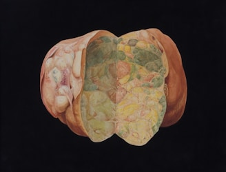 a painting of two sections of a human body