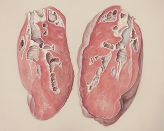a drawing of a pair of lungs