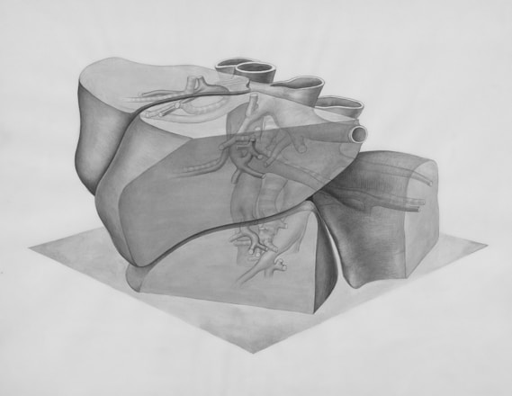 a drawing of a heart on a piece of paper