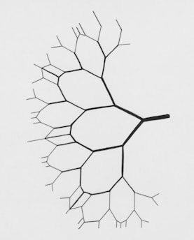 a black and white drawing of a leaf