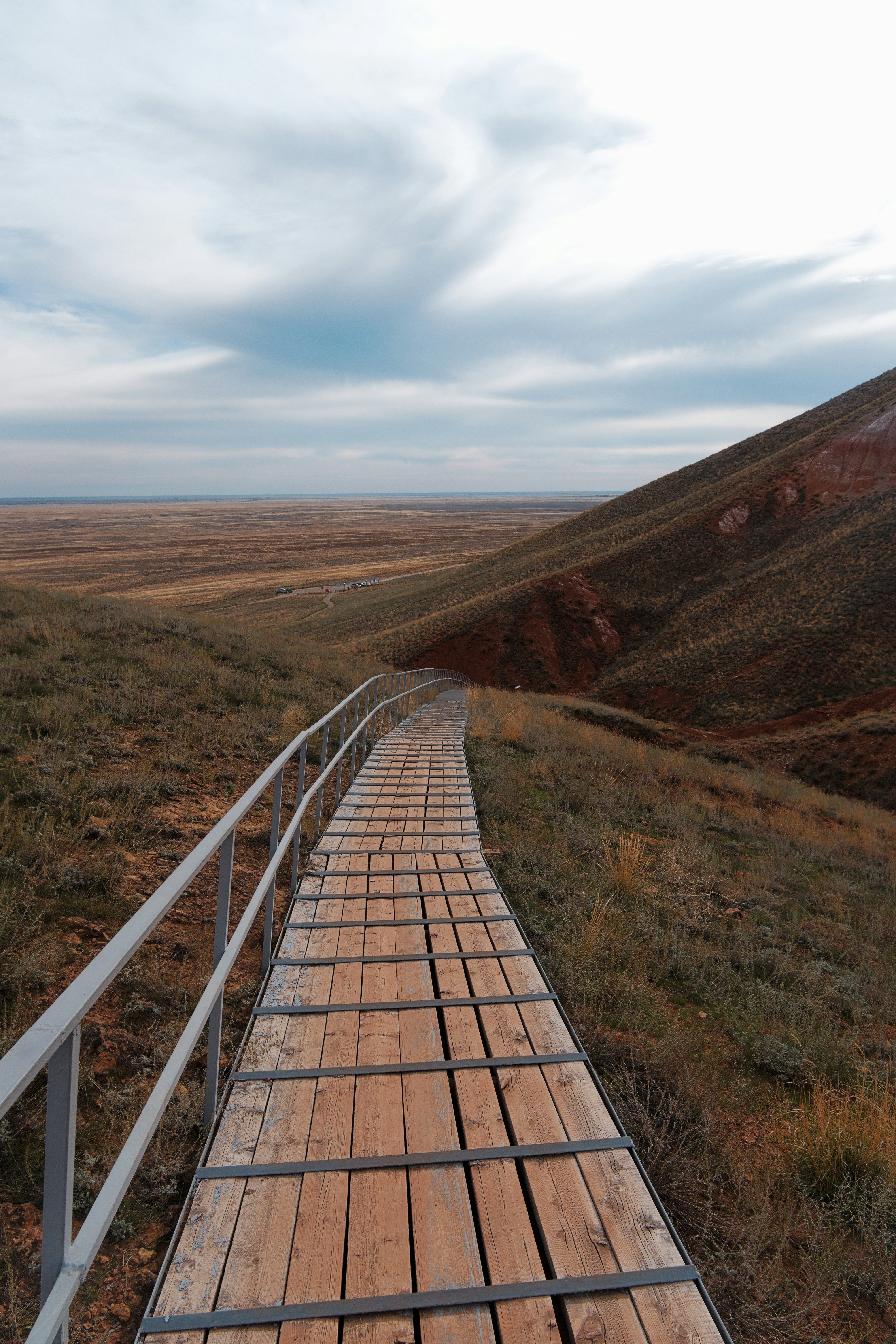 a wooden walkway in the middle of a field