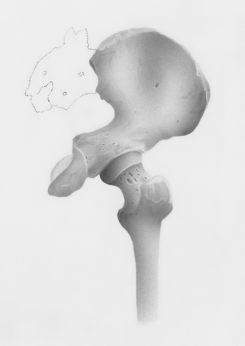 a black and white photo of a bone