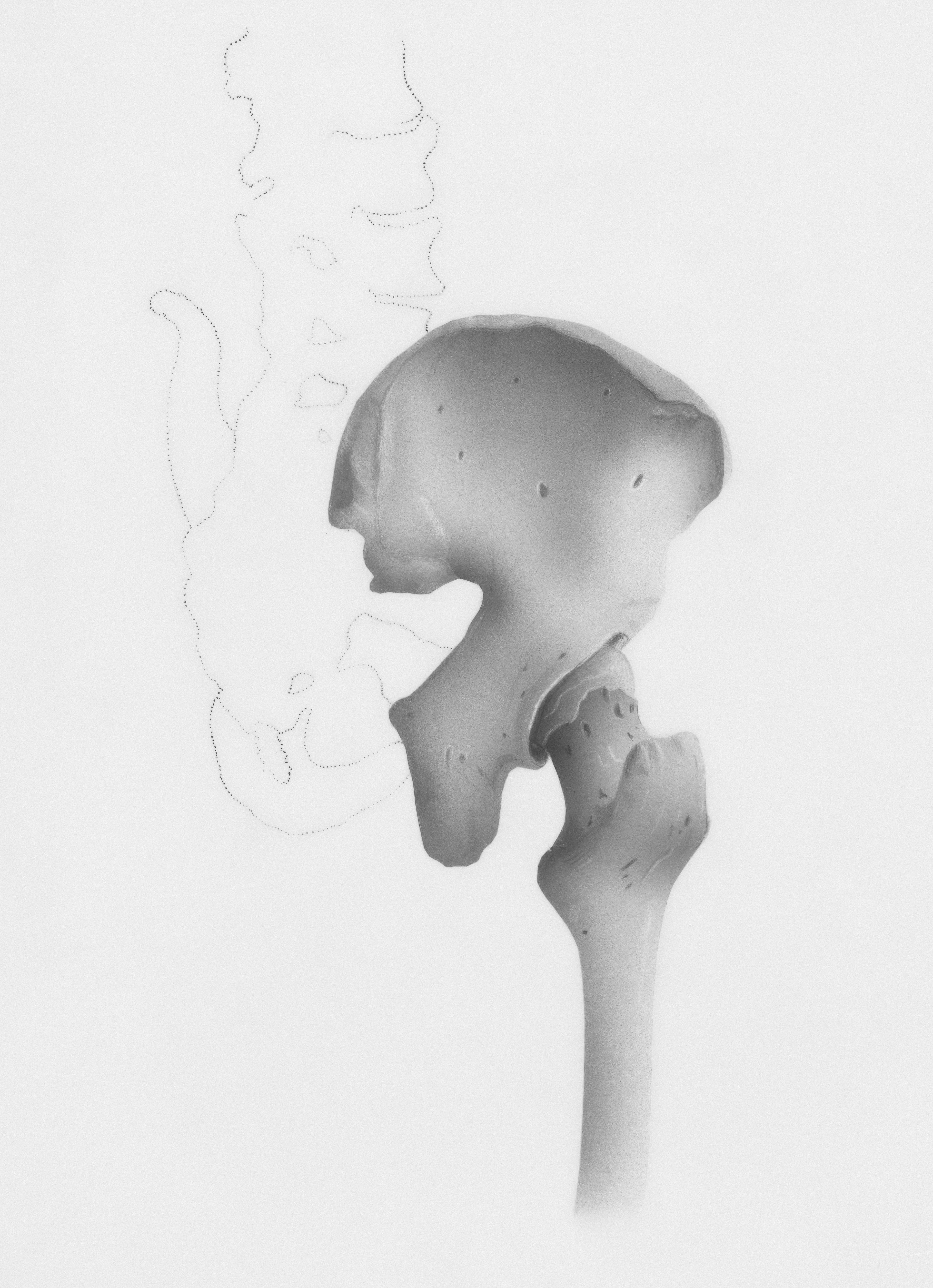 a black and white photo of a bone