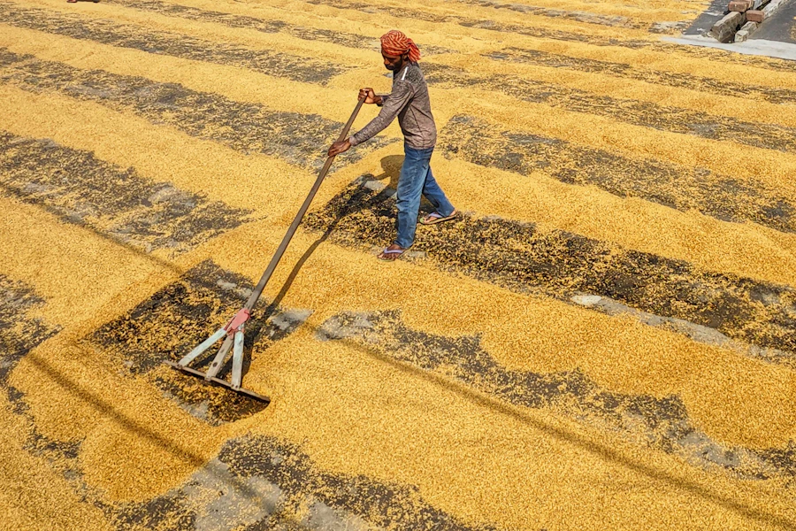 Housekeeping worker cleaning a home in India