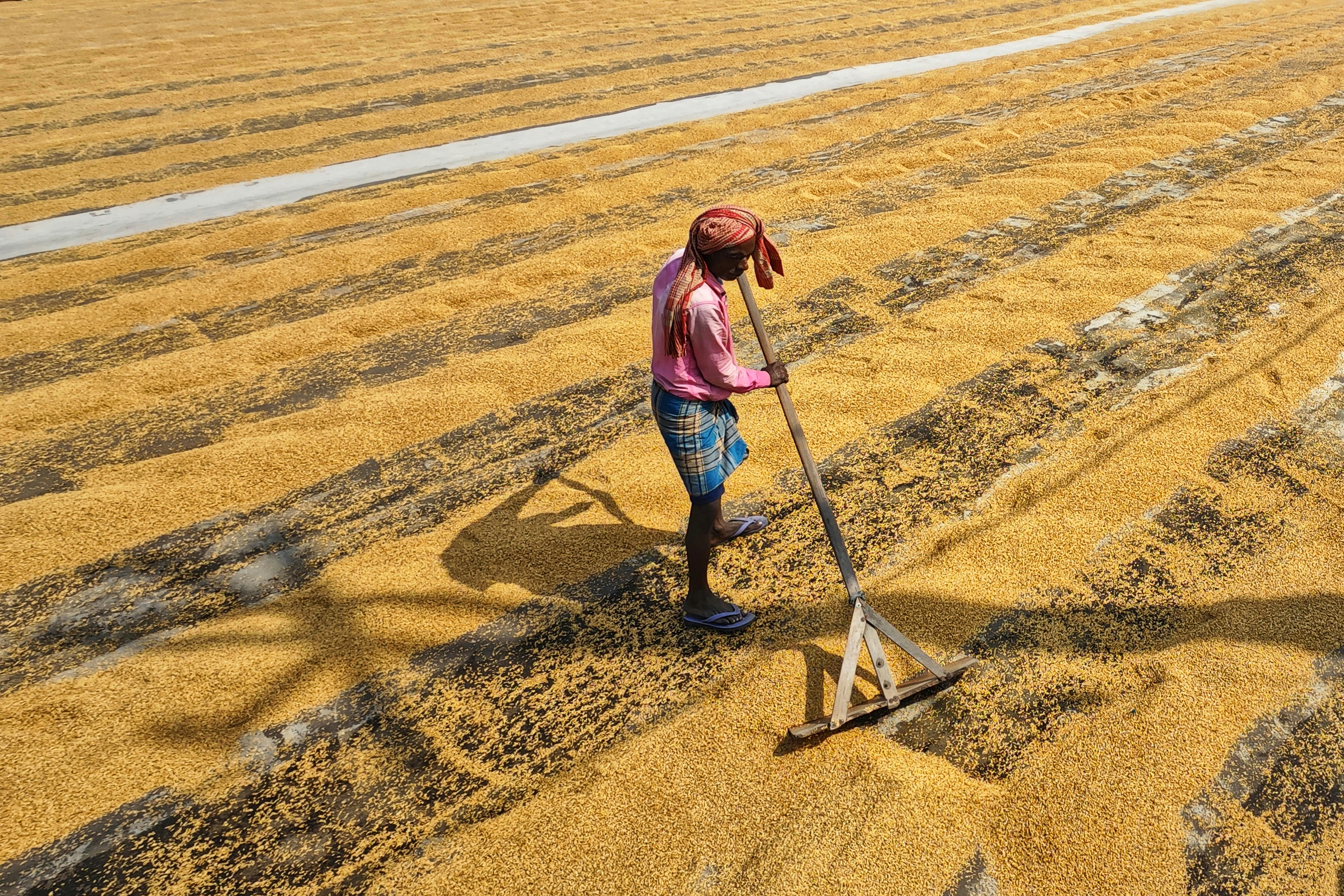 Photo by dibakar16roy