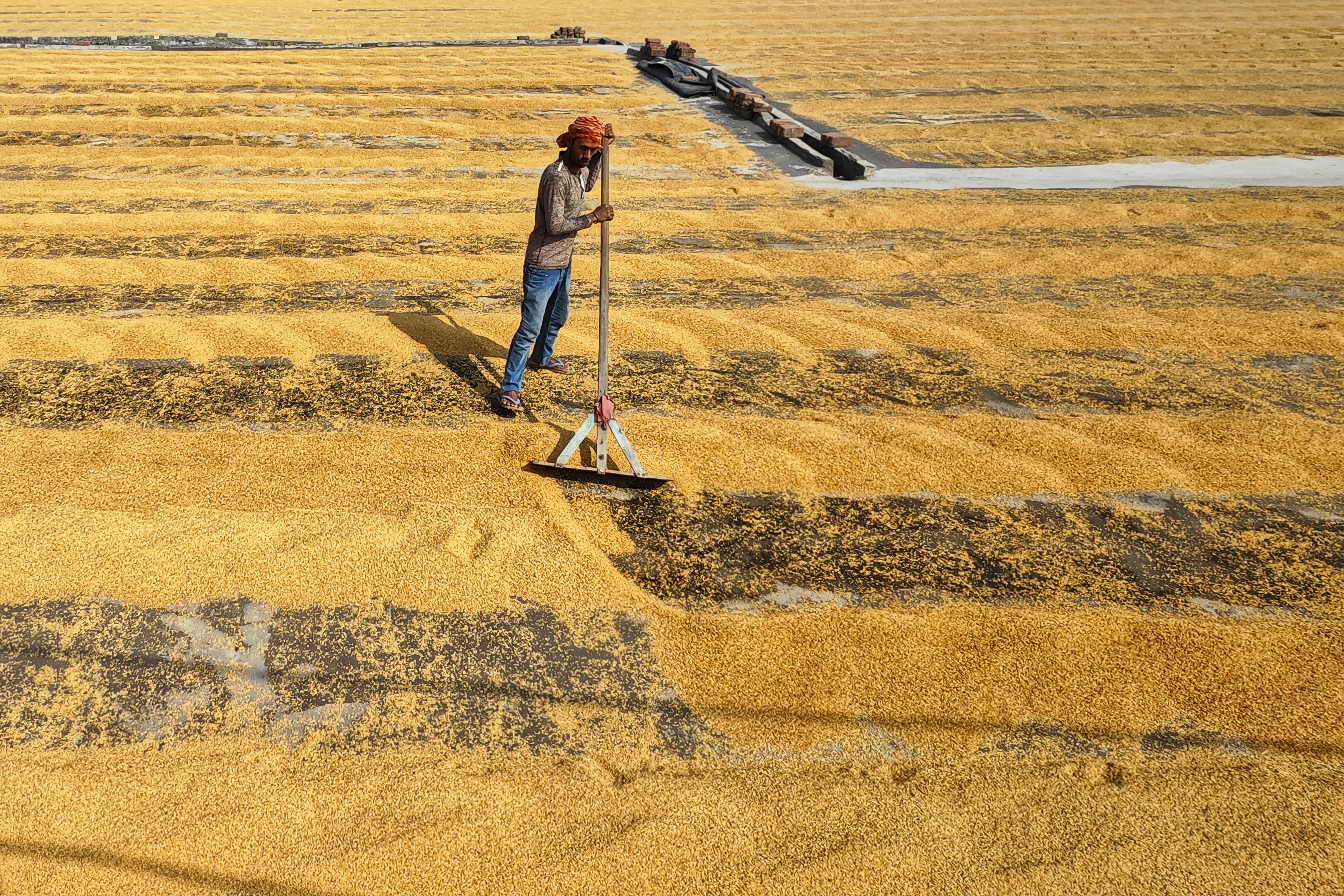 a person standing in a field with a broom