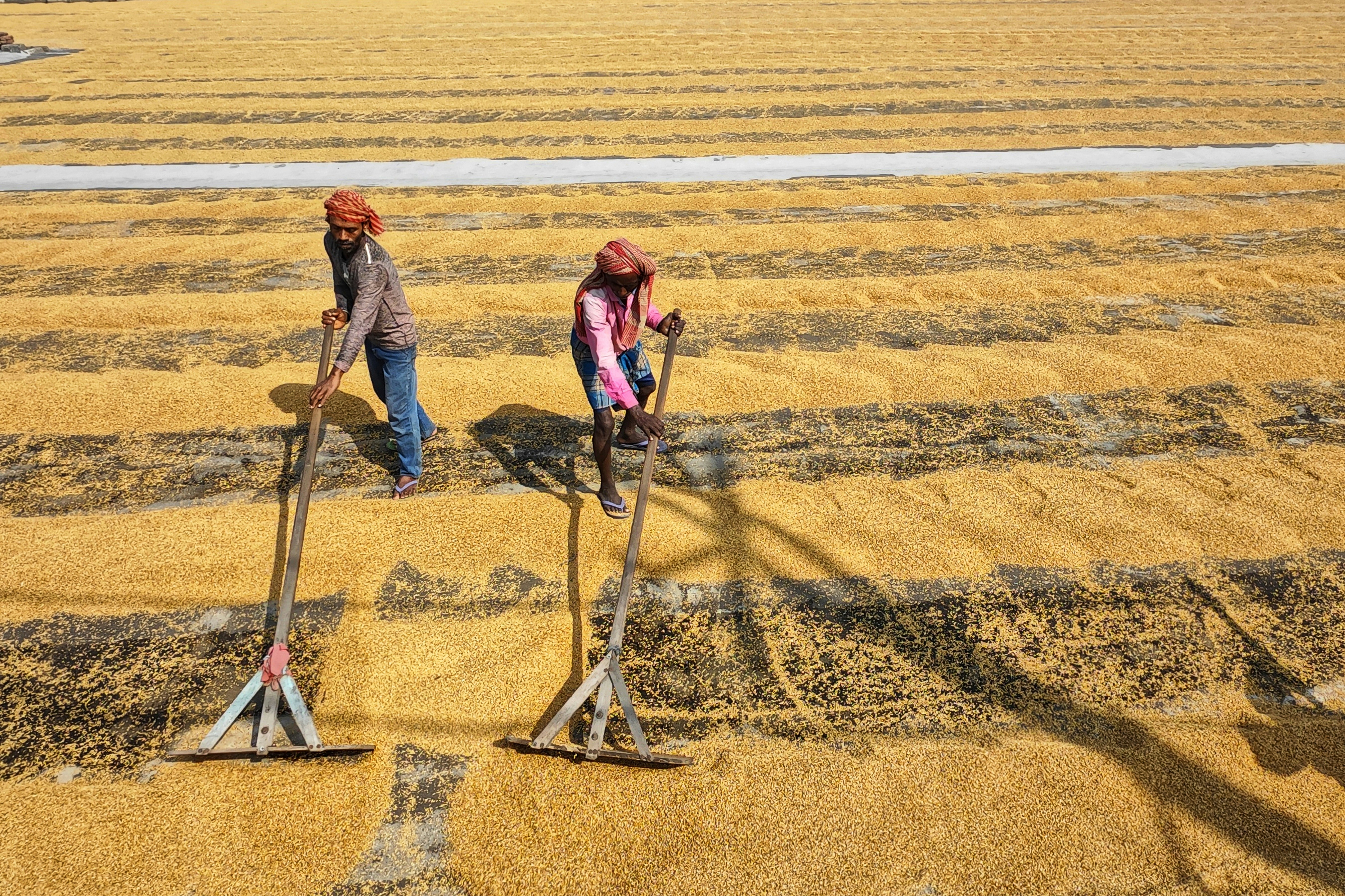 Photo by dibakar16roy