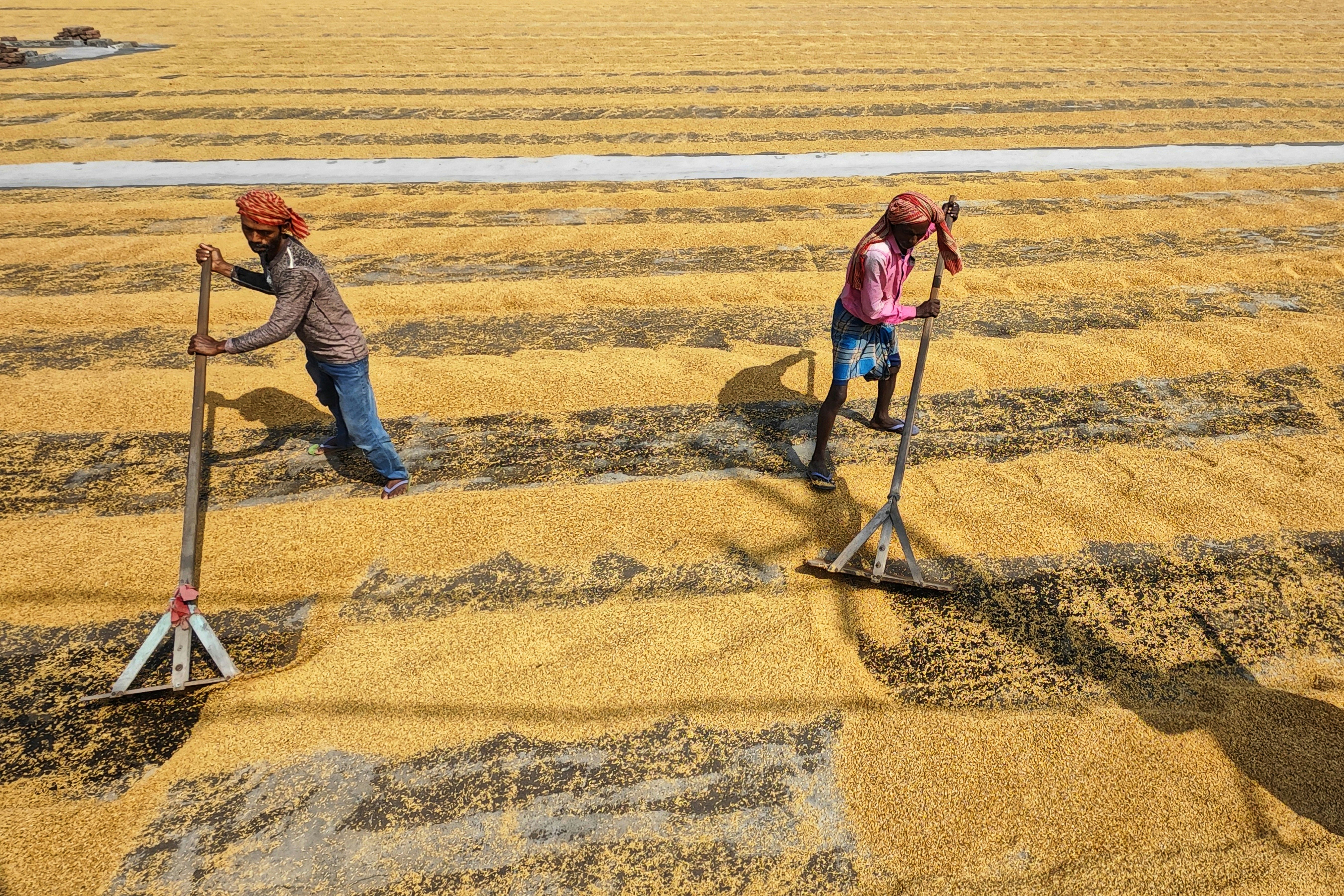 Photo by dibakar16roy