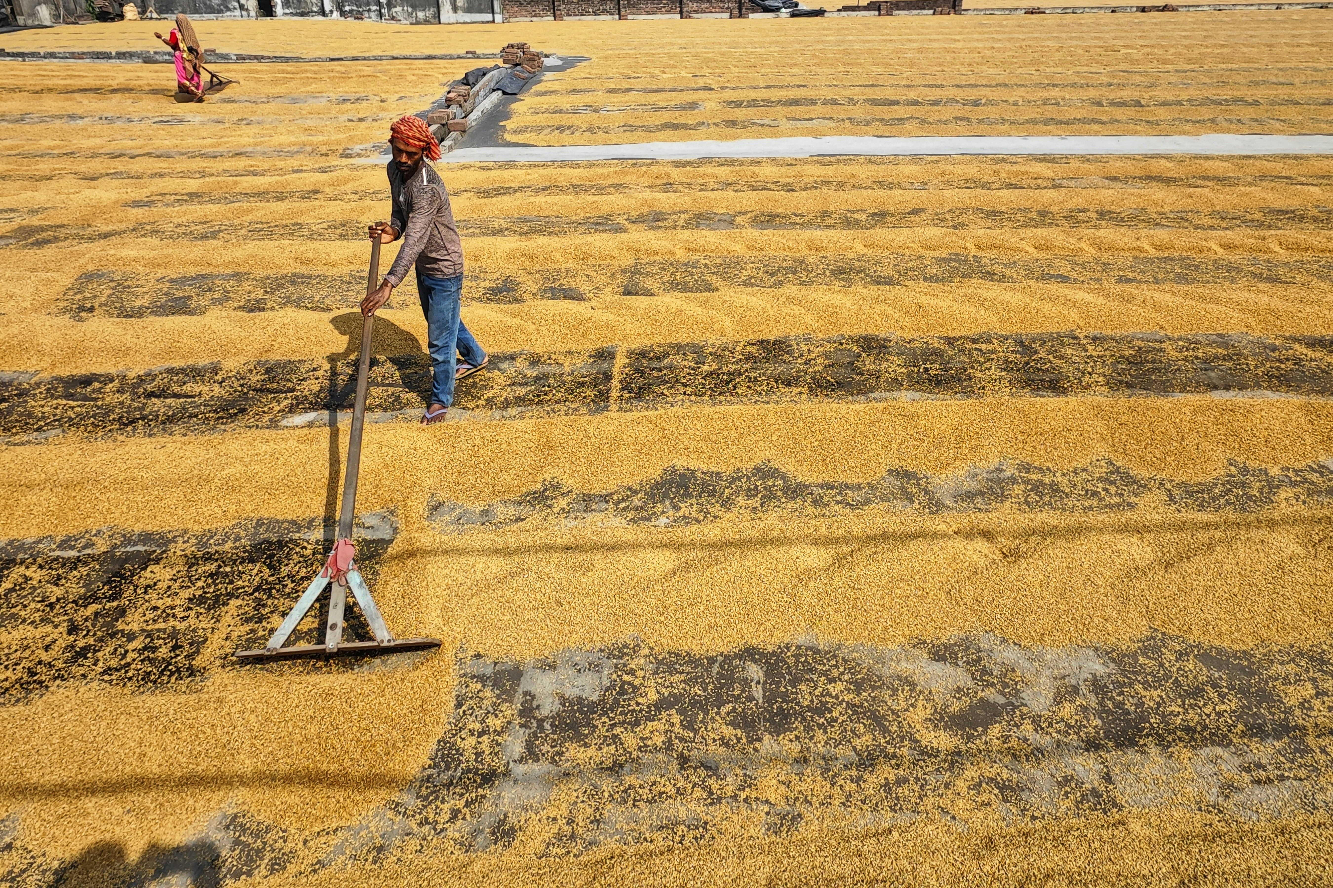 Photo by dibakar16roy