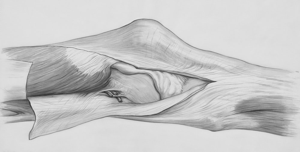 a drawing of a person's hand holding a piece of paper
