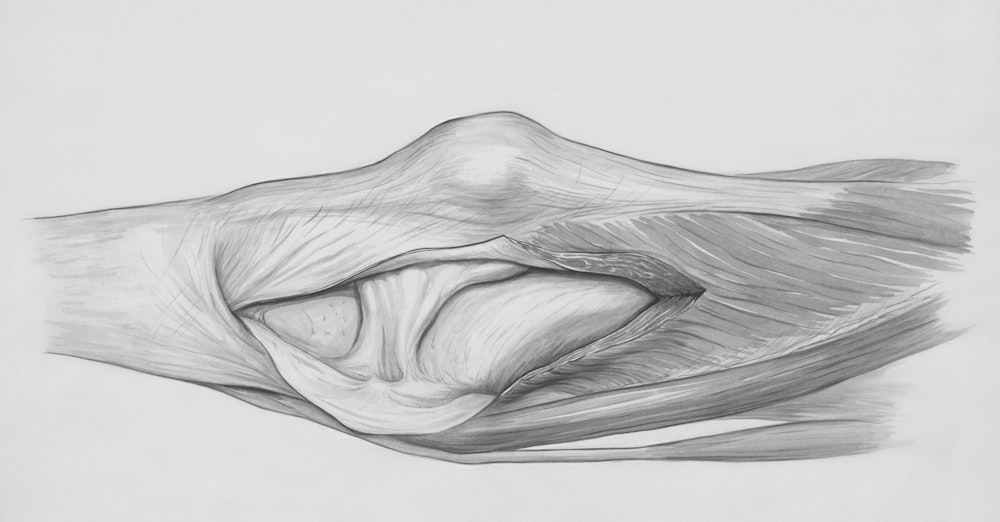 a pencil drawing of a human hand
