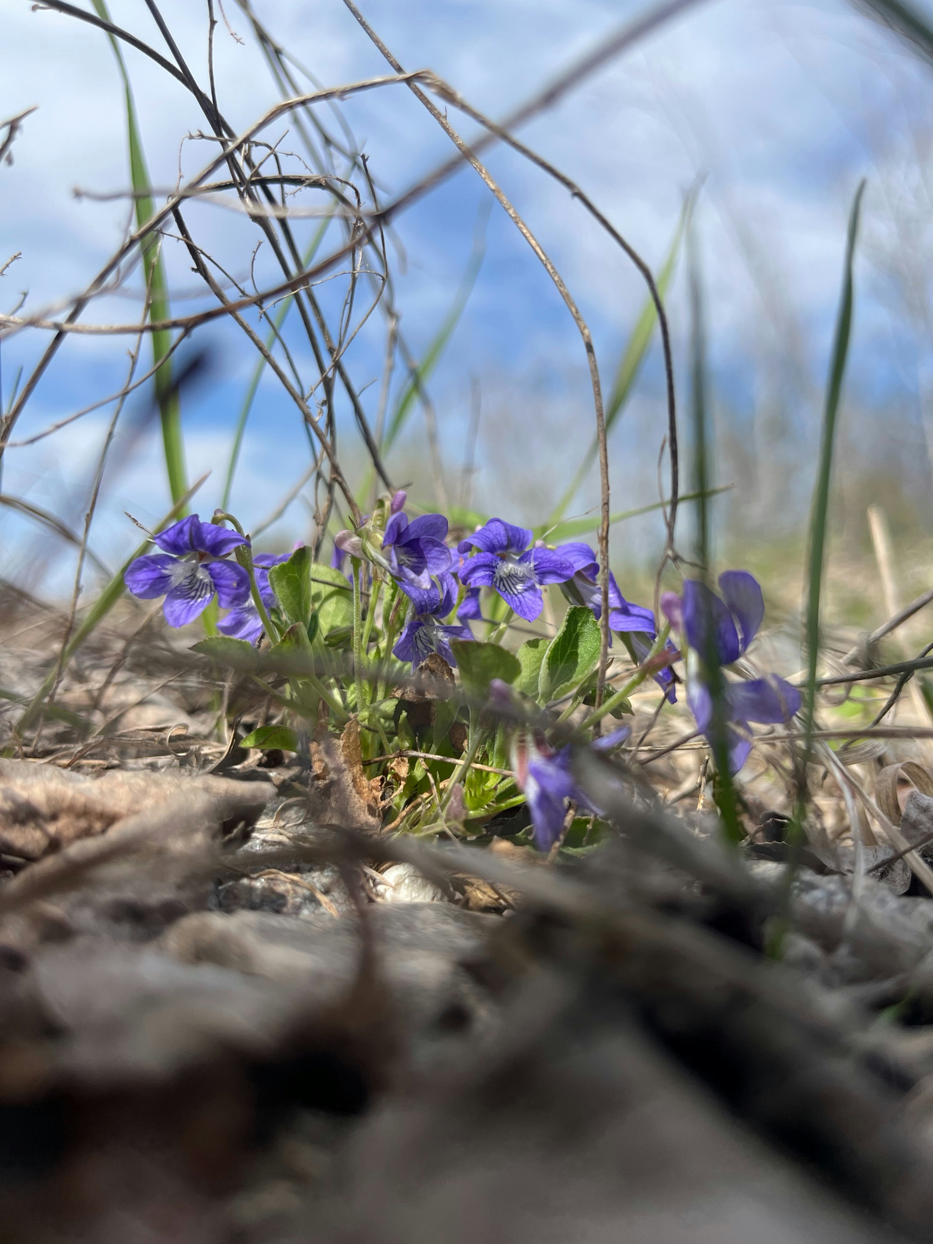 Photo by classicboi97_photos