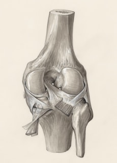 Osteoartritis de Rodilla Medicina Regenerativa