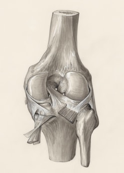 Osteoartritis de Rodilla Medicina Regenerativa